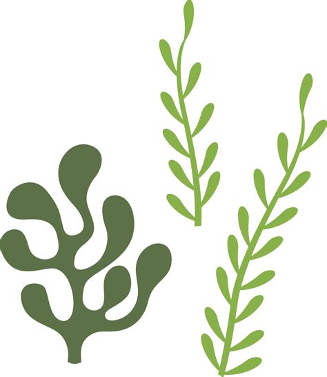 Seaweed Template